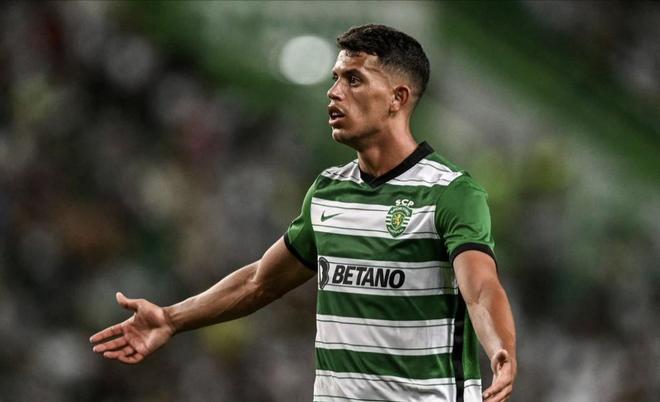 和培养机制 和培养机制