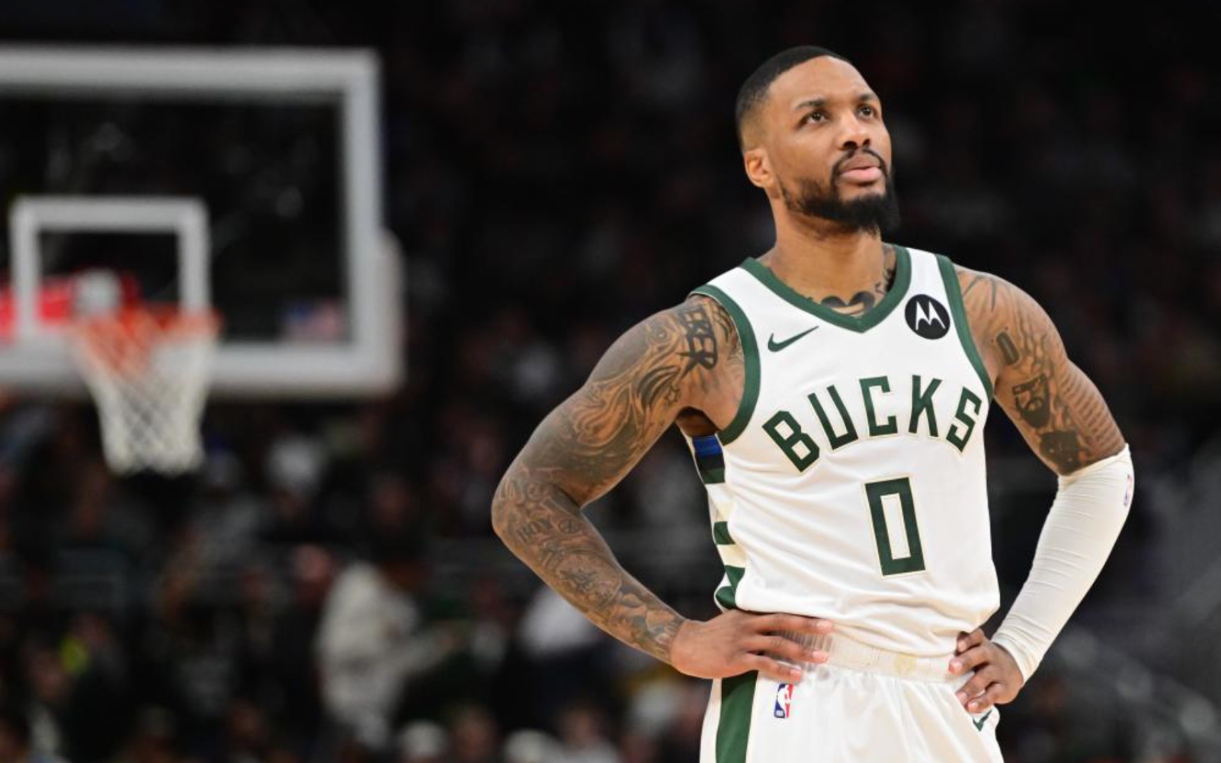 了广泛关注 了广泛关注