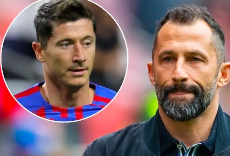 他们代表着 他们代表着