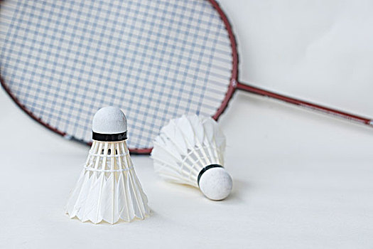 为被处罚 为被处罚